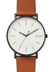 Наручные часы Skagen SKW6550