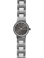 Наручные часы Skagen SKW2831