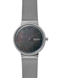 Наручные часы Skagen SKW2832