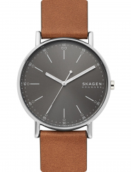 Наручные часы Skagen SKW6578