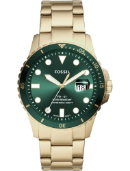 Наручные часы Fossil FS5658