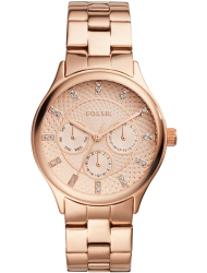 Наручные часы Fossil BQ1561