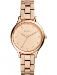 Наручные часы Fossil BQ3321