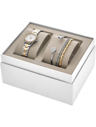 Наручные часы Fossil BQ3298SET