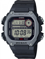 Наручные часы Casio DW-291H-1AVEF