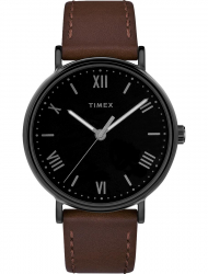 Наручные часы Timex TW2R80300