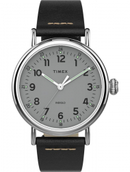 Наручные часы Timex TW2T69200