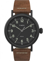 Наручные часы Timex TW2T69300