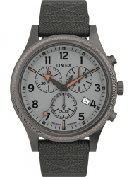 Наручные часы Timex TW2T75700