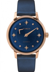 Наручные часы Timex TW2T86100