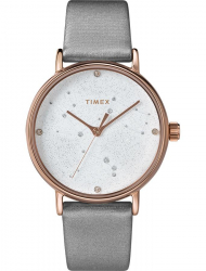 Наручные часы Timex TW2T87500