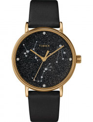 Наручные часы Timex TW2T87600