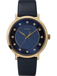 Наручные часы Timex TW2U41100