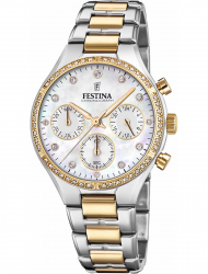 Наручные часы Festina F20402.1