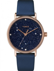 Наручные часы Timex TW2T87800