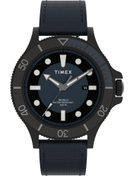 Наручные часы Timex TW2U10600