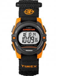 Наручные часы Timex TW4B07900