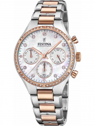 Наручные часы Festina F20403.1