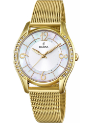 Наручные часы Festina F20421.1