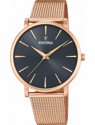 Наручные часы Festina F20477.2