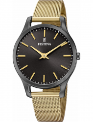 Наручные часы Festina F20508.1