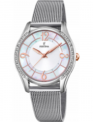 Наручные часы Festina F20420.1