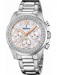 Наручные часы Festina F20606.1