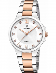 Наручные часы Festina F20612.1