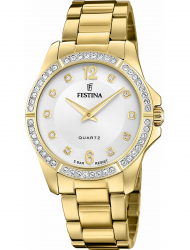 Наручные часы Festina F20596.1