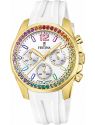 Наручные часы Festina F20650.2