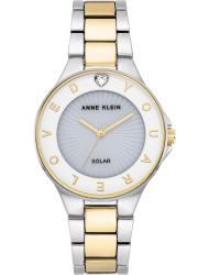 Наручные часы Anne Klein 3867WTTT