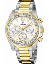 Наручные часы Festina F20607.1