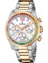 Наручные часы Festina F20608.2