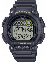 Наручные часы Casio WS-2100H-8AVEF