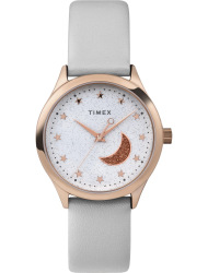 Наручные часы Timex TW2V49400