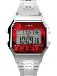 Наручные часы Timex TW2V50900