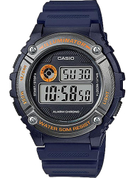 Наручные часы Casio W-216H-2B