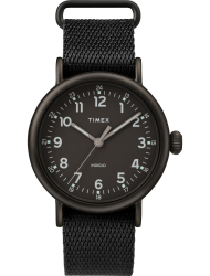 Наручные часы Timex TW2T20800