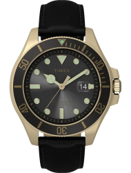 Наручные часы Timex TW2V42200