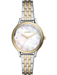 Наручные часы Fossil BQ3864