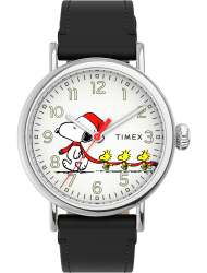 Наручные часы Timex TW2U86400