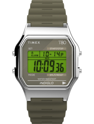 Наручные часы Timex TW2V41100
