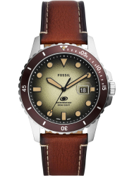 Наручные часы Fossil FS5961