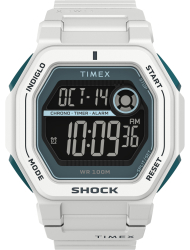 Наручные часы Timex TW2V63600