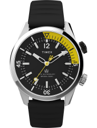 Наручные часы Timex TW2V73400