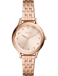 Наручные часы Fossil BQ3862