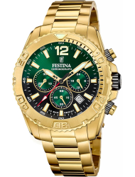 Наручные часы Festina F20684.3