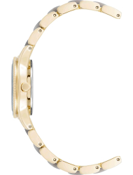 Наручные часы Anne Klein 3212LGGB