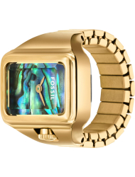 Наручные часы Fossil ES5411