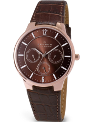 Наручные часы Skagen 331XLRLD